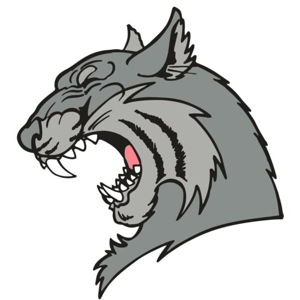 AR WILDCAT 41 RC Thumbnail