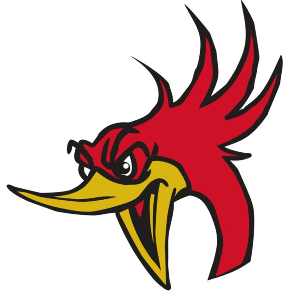 AR31 ROADRUNNER 02 RQC Thumbnail